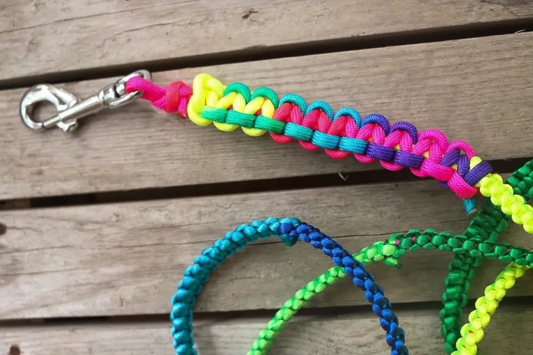 Diy: hundkoppel