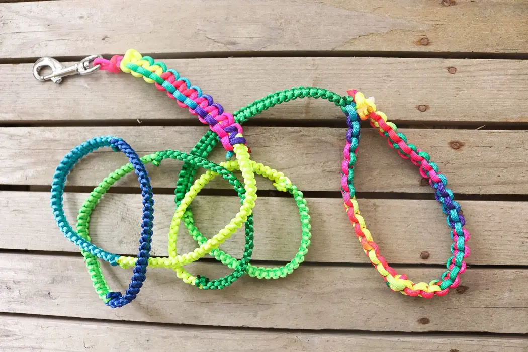 Diy: hundkoppel
