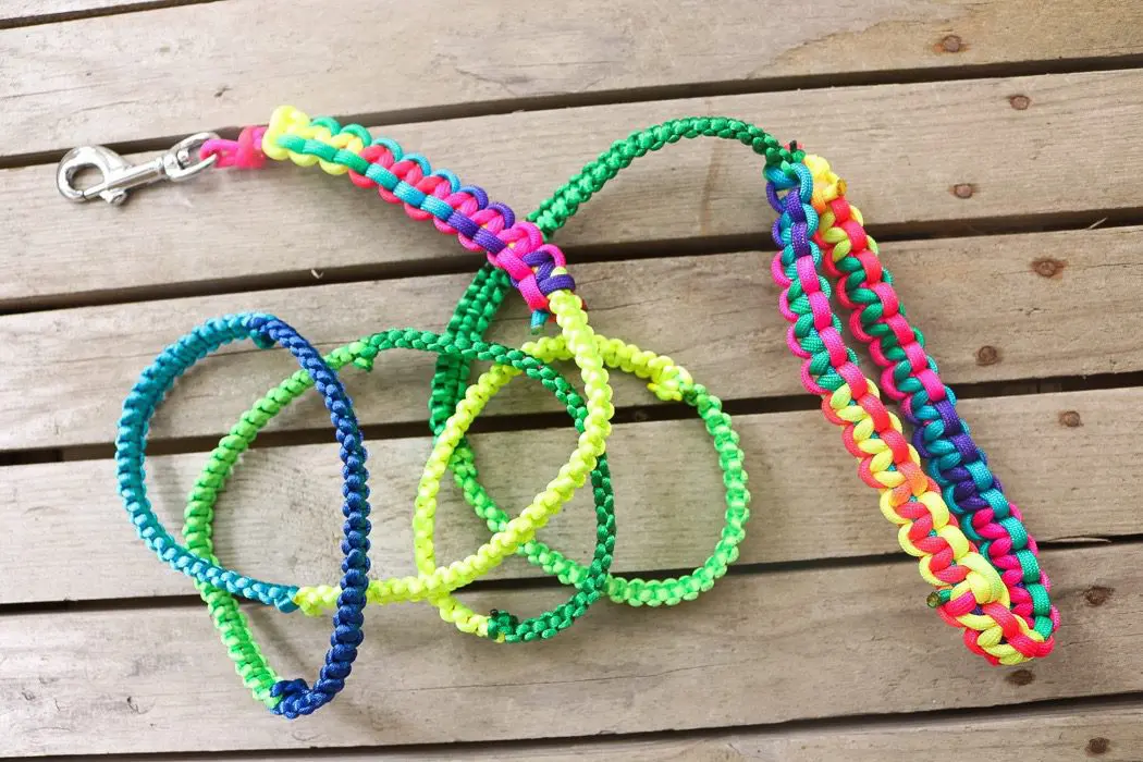 Diy: hundhalsband