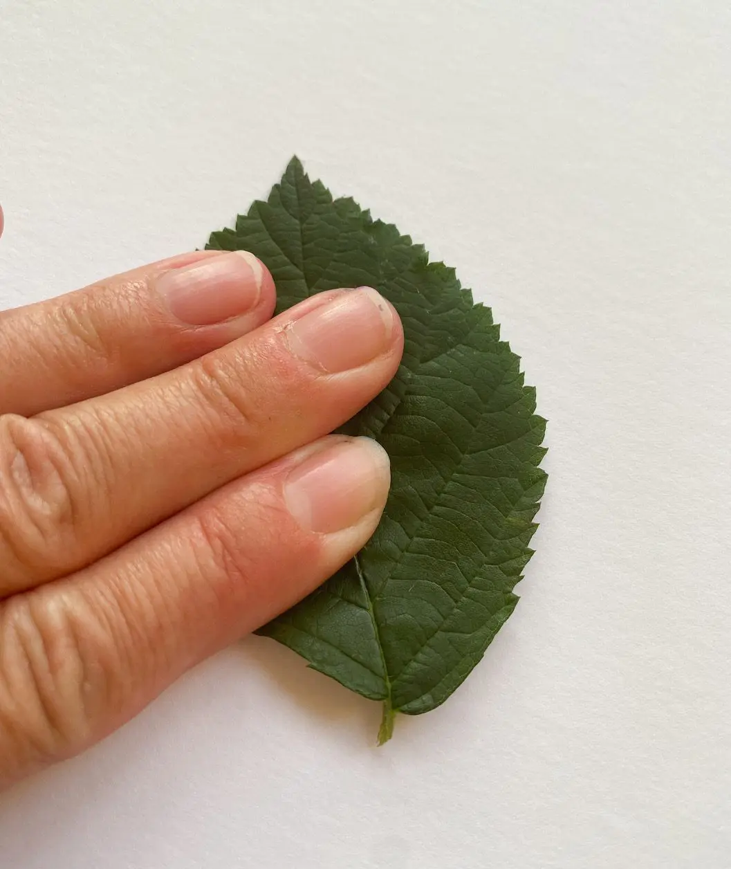 Pressa med fingrarna
