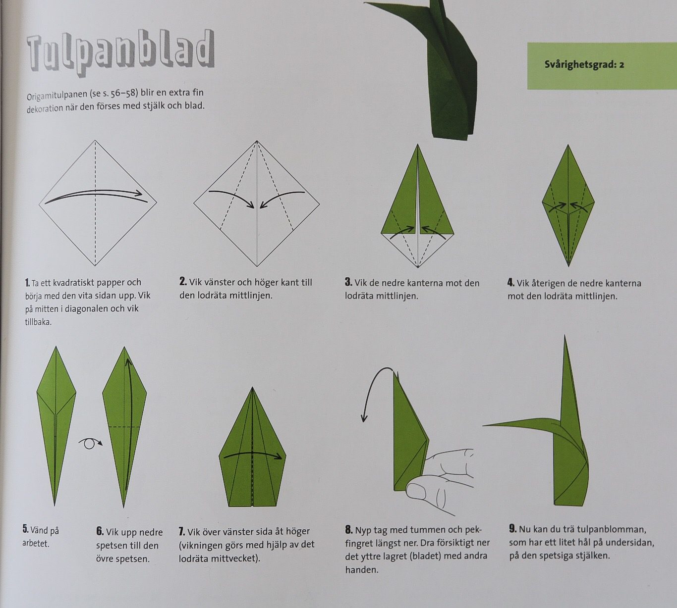 Tulpan origami