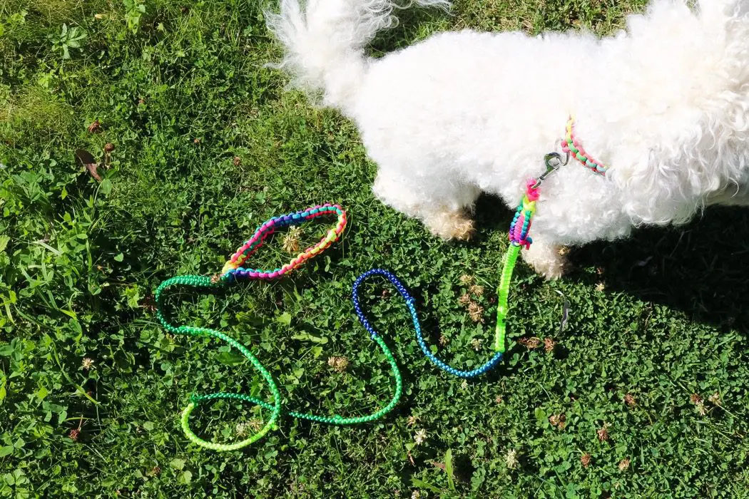 Diy: Hundkoppel