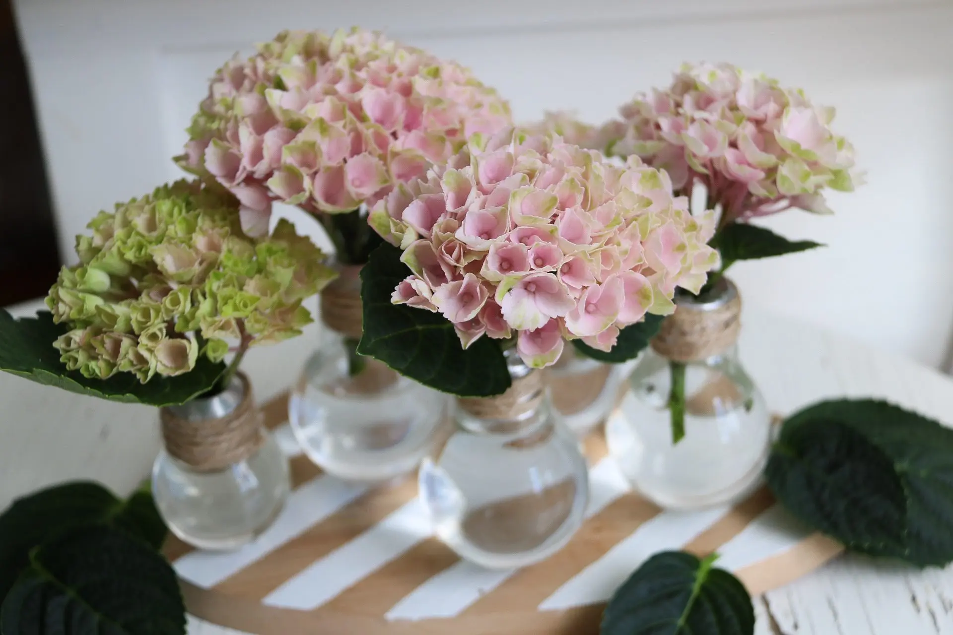 Kul återbrukspyssel till blommor