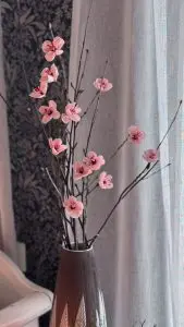 Körsbärsblommor