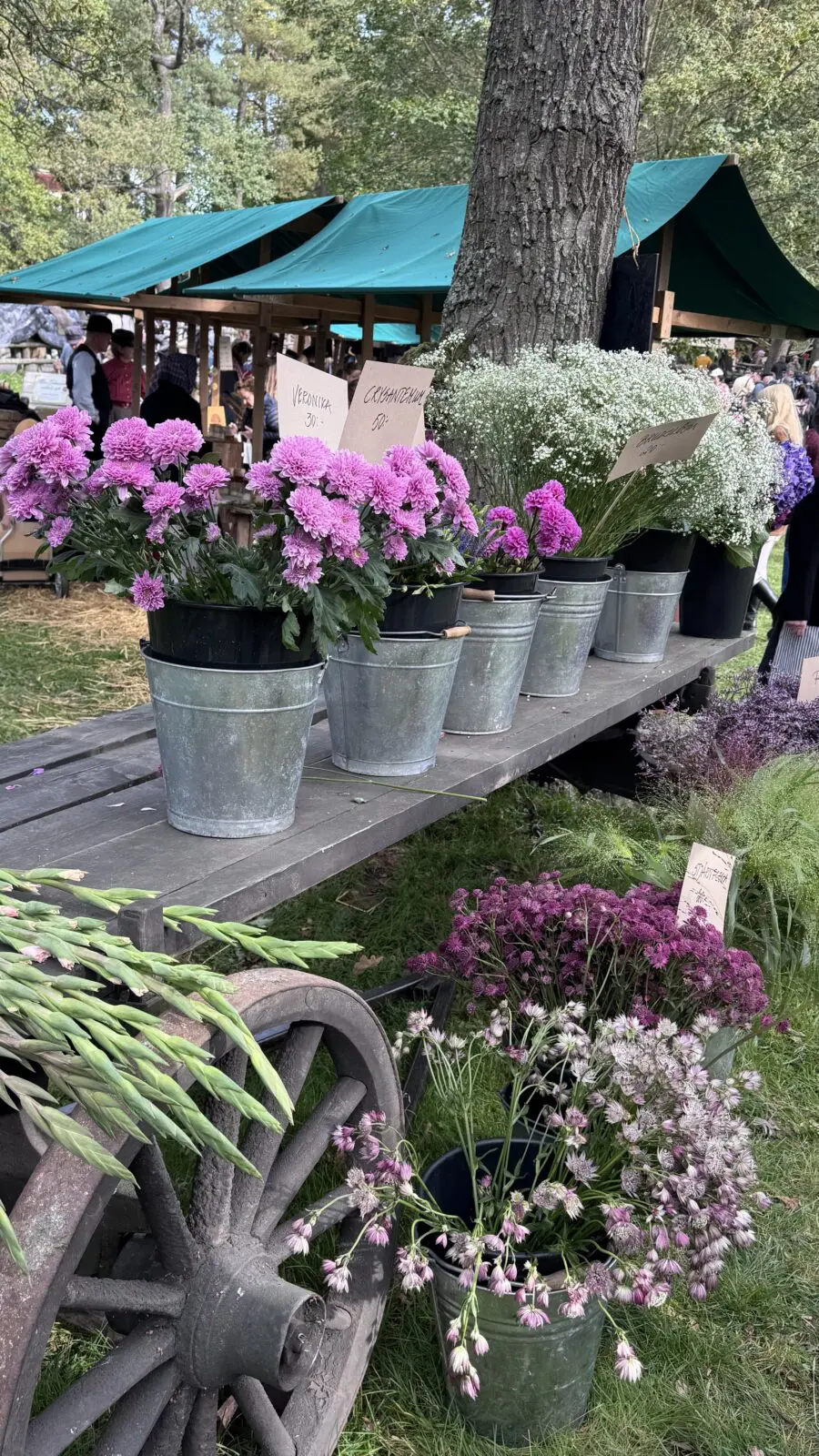 Blommor på Skansen