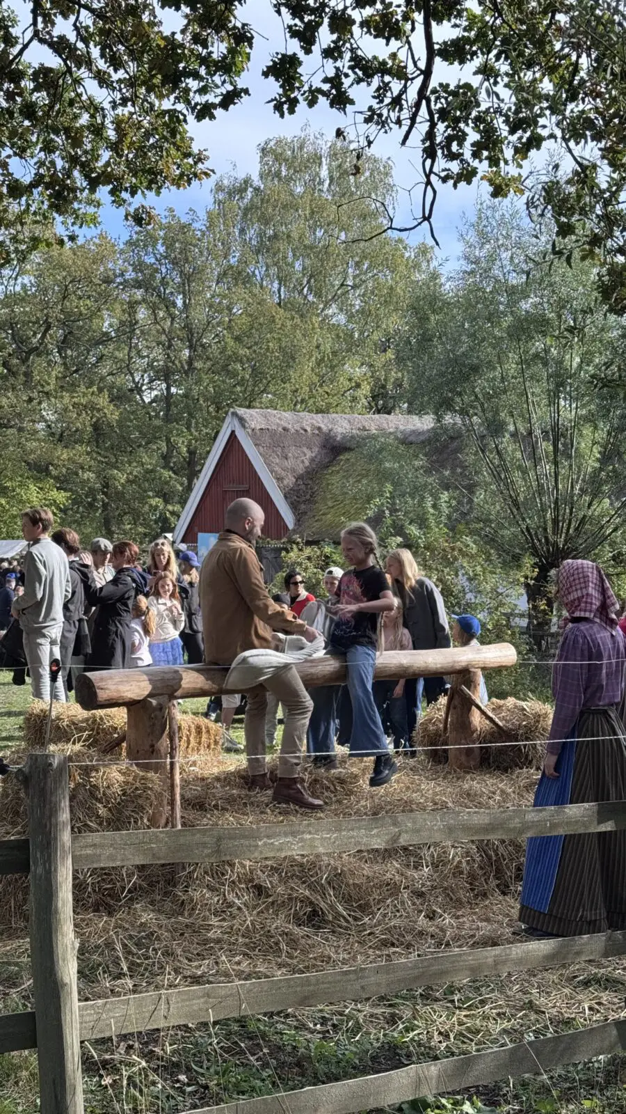 Lekar på Skansens höstmarknad