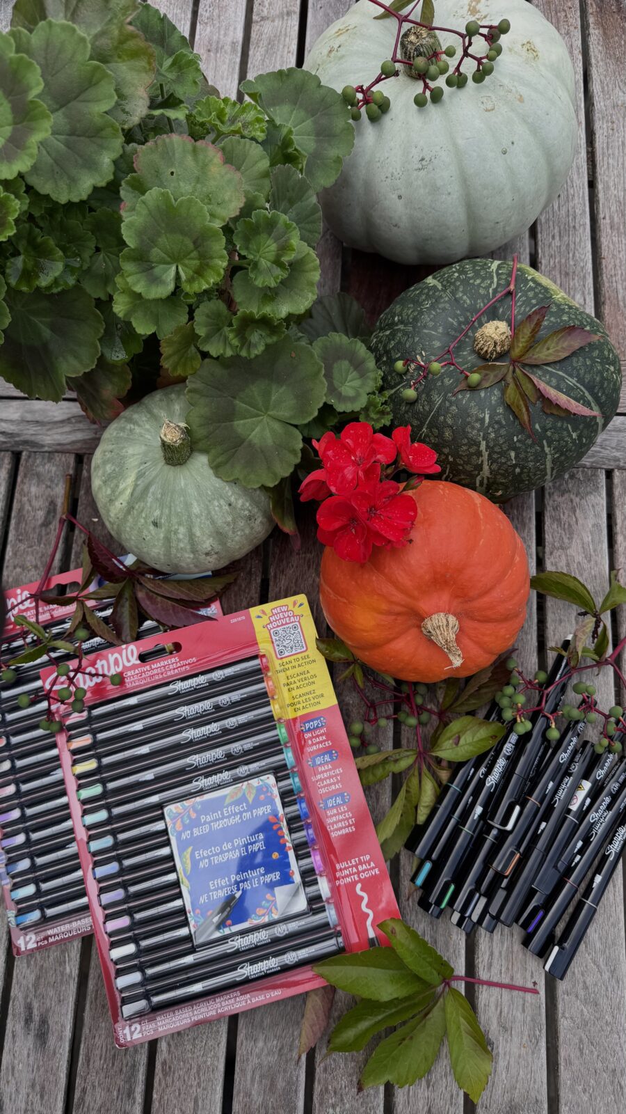 Material till DIY målade pumpor - Sharpie-pennor och pumpor i olika storlekar